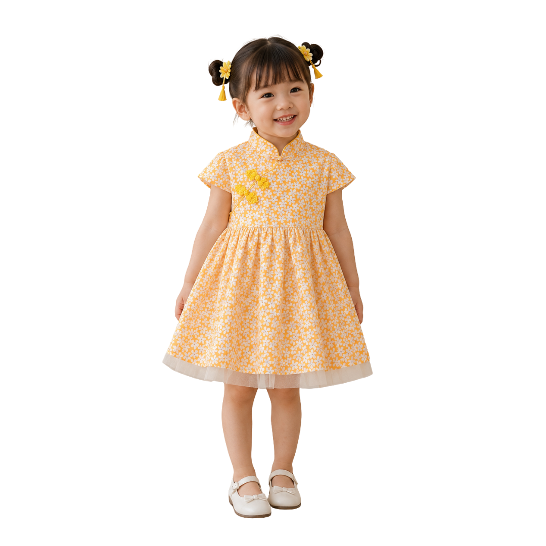 Chinese Style Dress