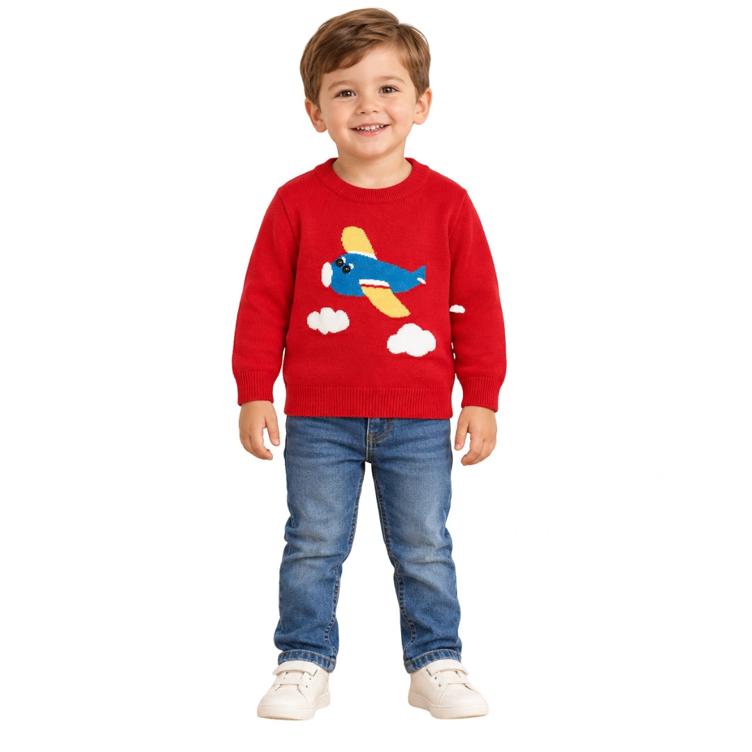Aeroplane Sweater