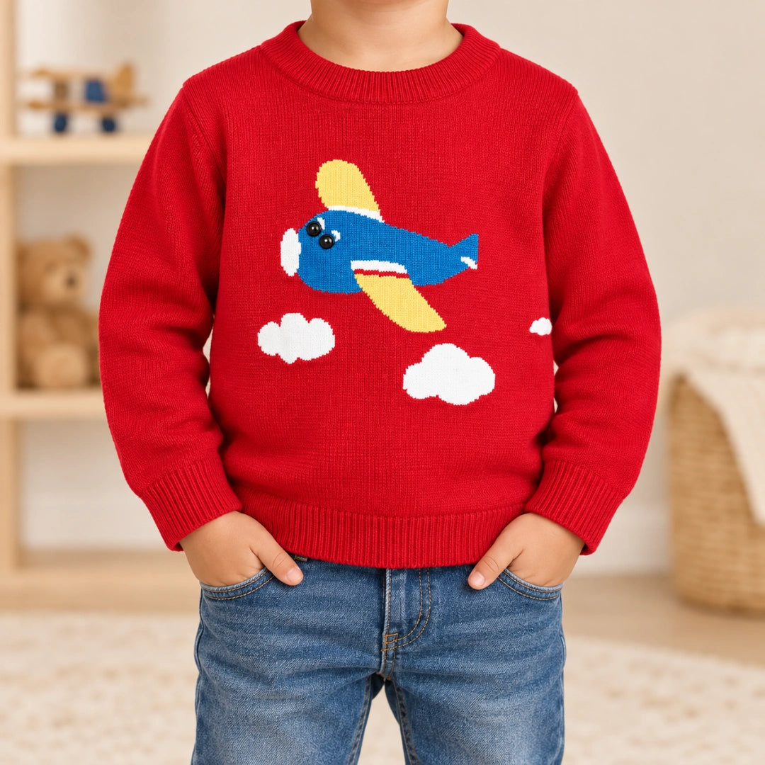 Aeroplane Sweater