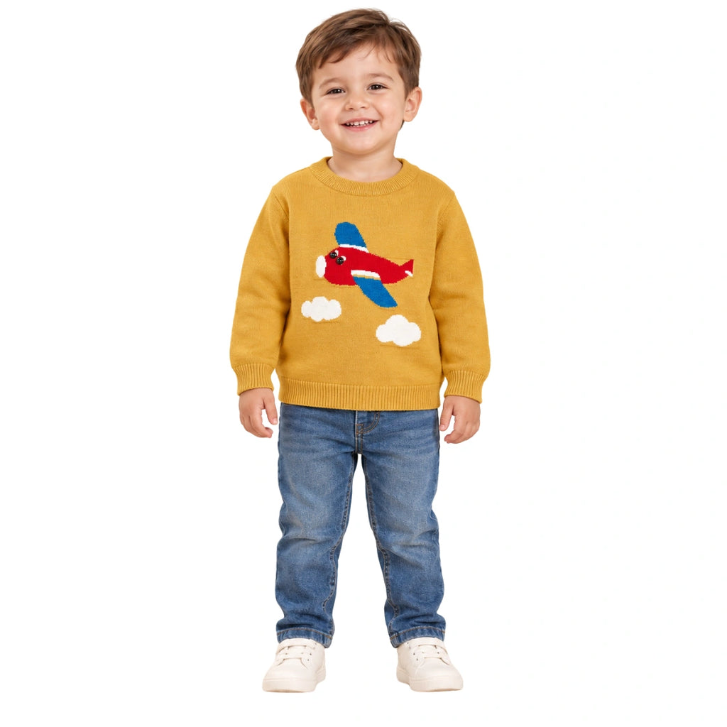 Aeroplane Sweater
