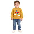 Aeroplane Sweater