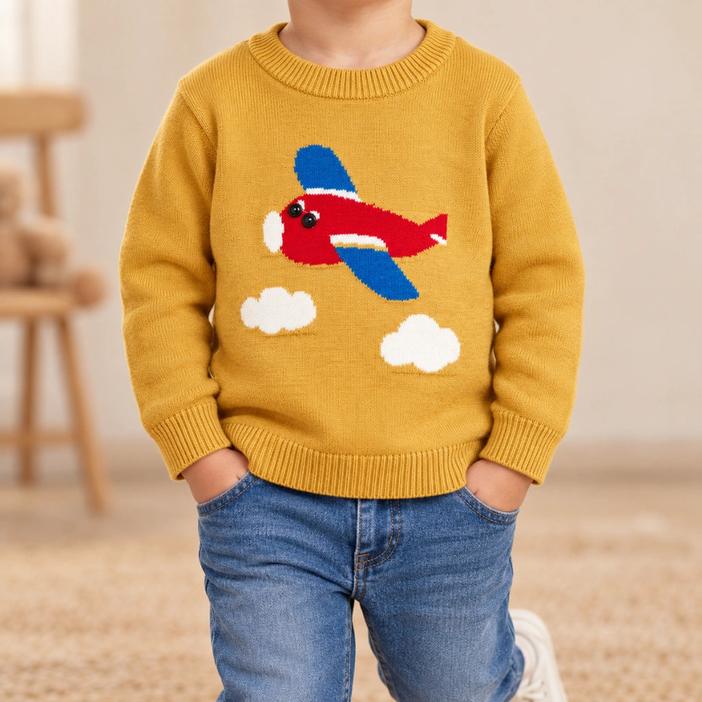 Aeroplane Sweater