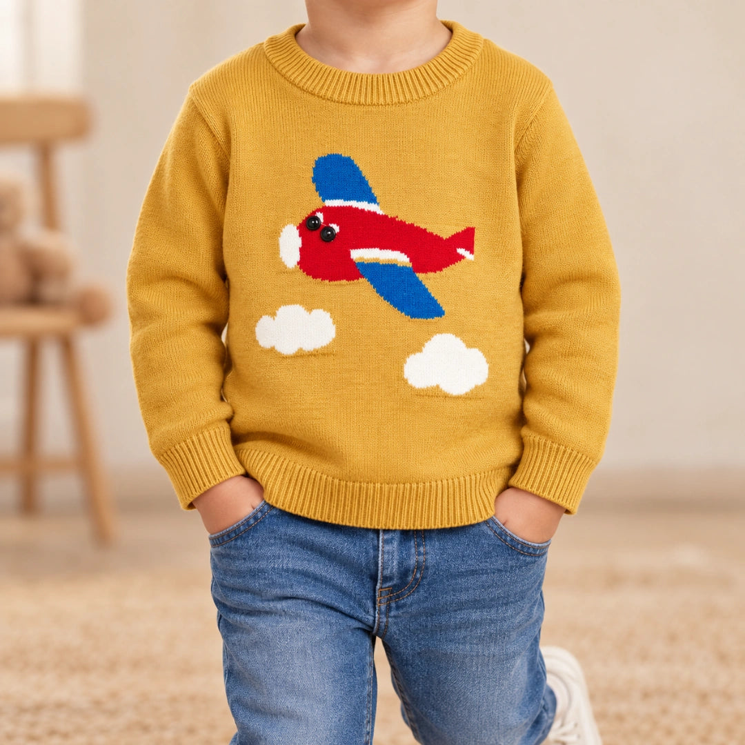 Aeroplane Sweater