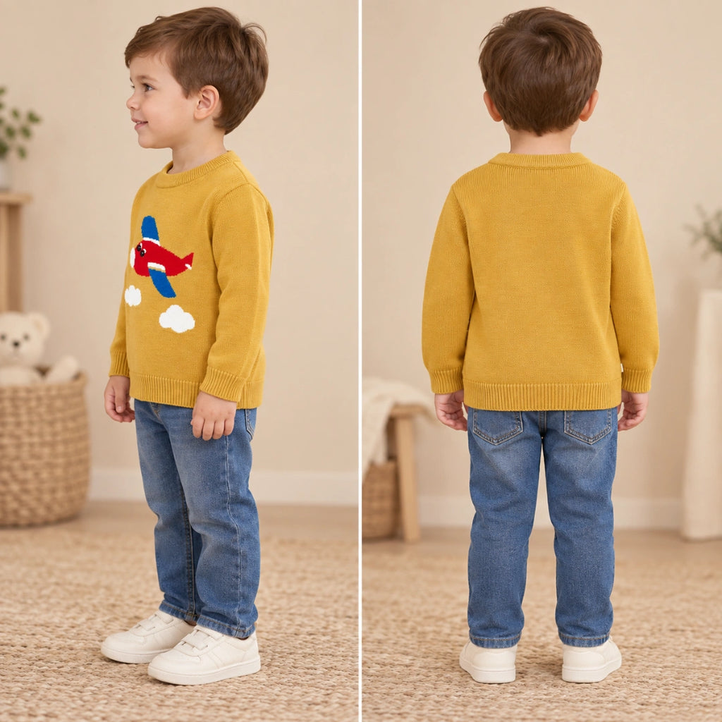Aeroplane Sweater