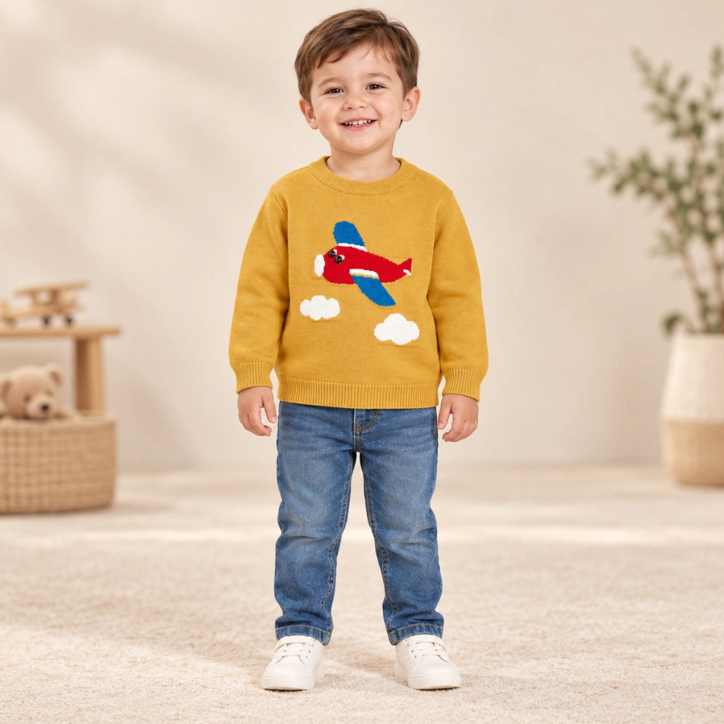 Aeroplane Sweater